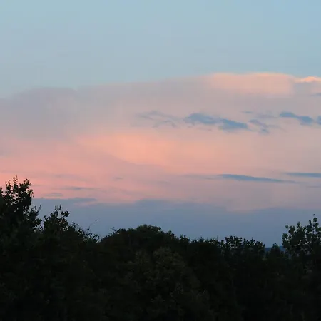 Mariaprimavera Am Kurpark Mit Schwarzwaldblick * * * * *
