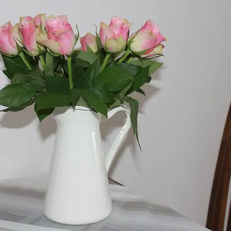 Mariaprimavera Am Kurpark Mit Schwarzwaldblick * * * * באד קרוצינגן